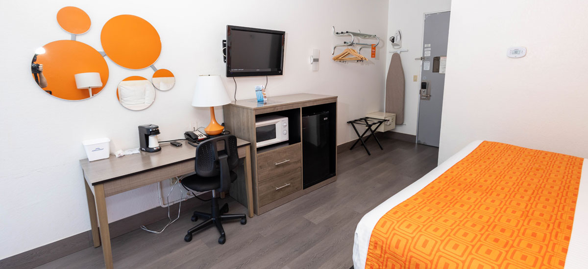 Spacious Guest Room Spacious Guest Room